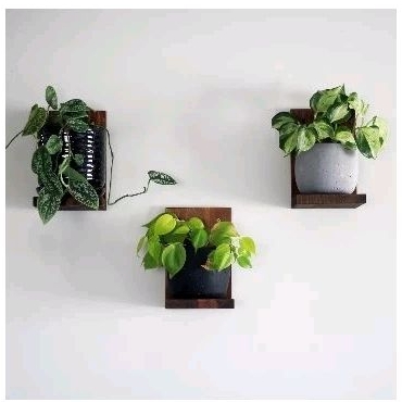 Suporte mini prateleira em madeira Pinus 3