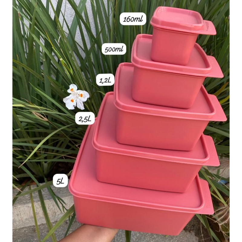 Kits Basic Line Tupperware. | Shopee Brasil