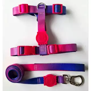 Peitoral H Anti-puxão rosa com roxo para cachorro