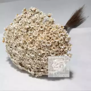 300 Florzinhas Sempre Viva Natural Desidratada
