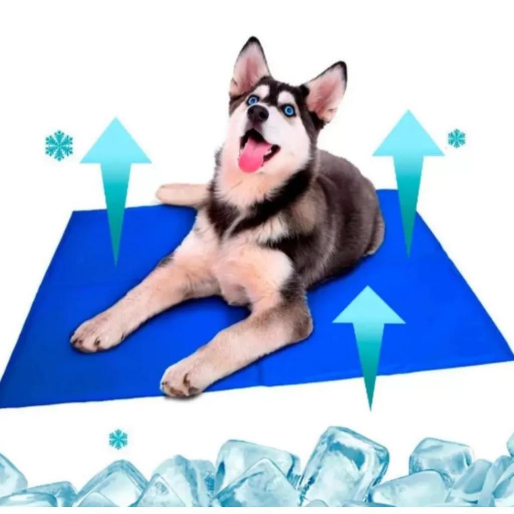 Tapete Gelado Refrescante Para Pet Cachorro e Gato - Pequeno 30x40cm ...