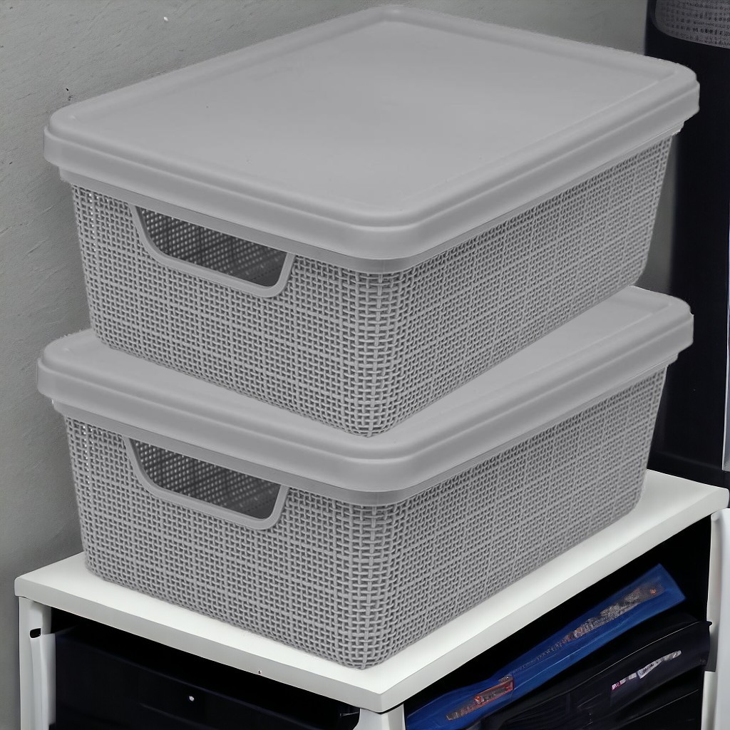 Kit 2 Caixas Organizadoras 5 Litros com Tampa Grande Cesto em Promoção ...