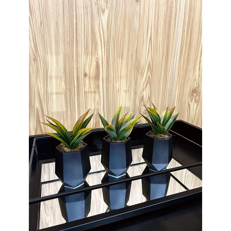 kit 3 vasos de gesso hexagonal com plantas artificiais (tipo suculenta)