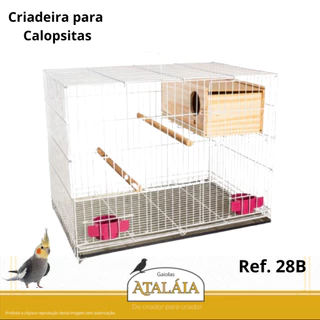Gaiola Criadeira Desmontável para Calopsita com Suporte para Ninho