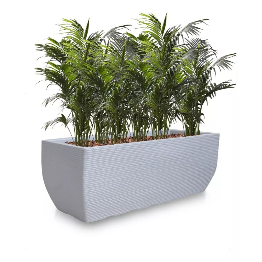 Vaso De Planta Jardineira Grande Suculenta Polietileno G