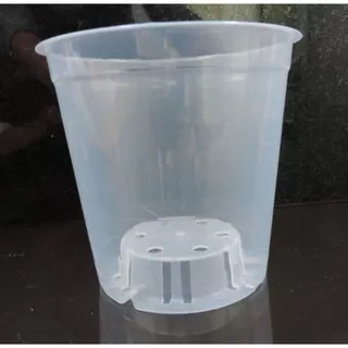 10 Vasos Para Orquídeas Com Cone Plástico Transparente Pote 12