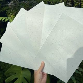 folha A4 em papel semente plantavel reciclado a pronta entrega