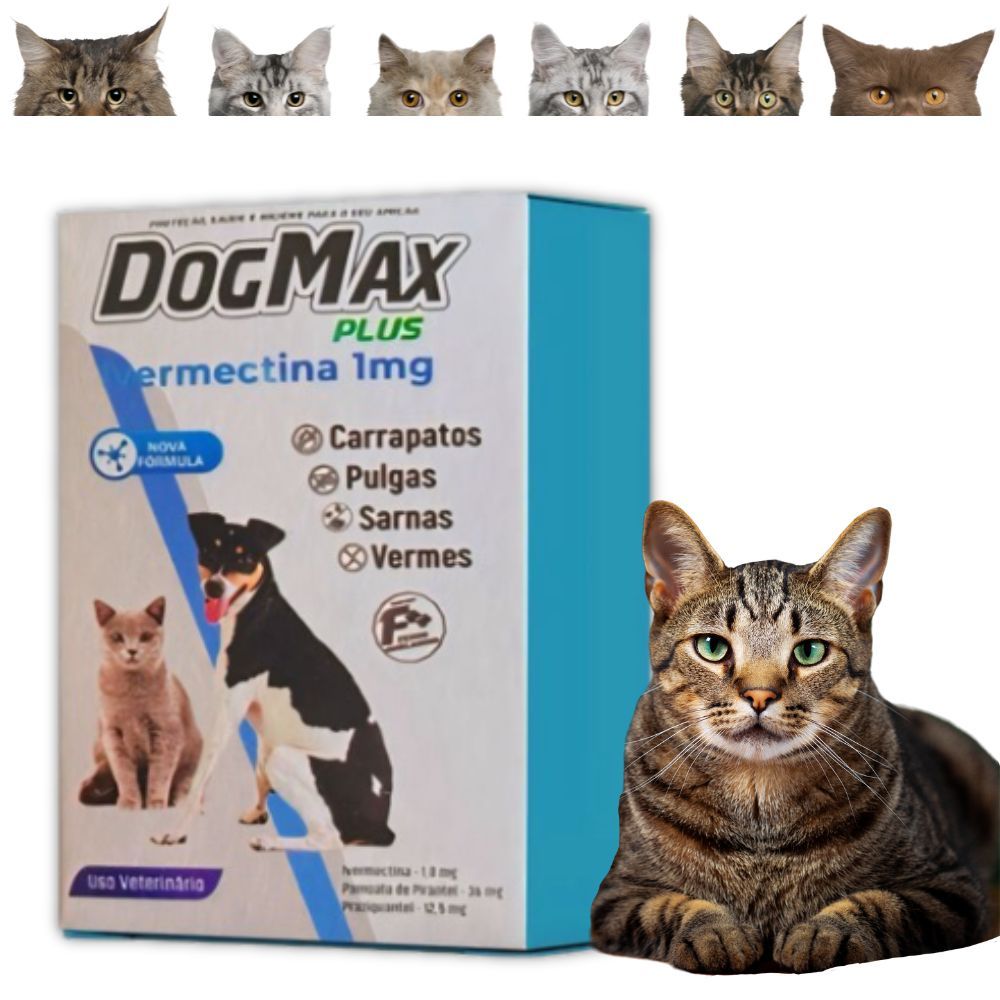 Antipulgas Plus para Gatos - DOGMAX 5kg 4 Comprimidos 4x1 Prevenção e ...