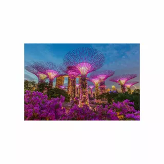 Quadro Decorativo em Adesivo Jardins Da Baía De Singapura