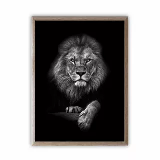 Quadro Decorativo em Adesivo Leão Majestoso Sala/Escritório com Moldura