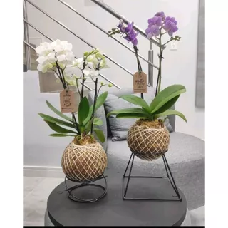 Kit com 20 pçs de suportes para Kokedamas 10 de cada modelo .