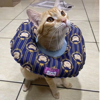 colar elizabetano de tecido para gatos adultos e cães micros