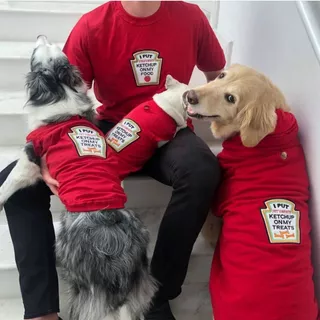 Roupa para Cachorros e Gatos Regata Pet Ketchup Mostarda Maionese Raças Pequena Média Grande Golden