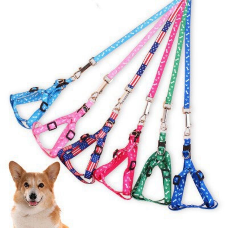 Coleira Peitoral Para Cachorro/Gato de porte Pequeno/ Médio Animais de Estimação