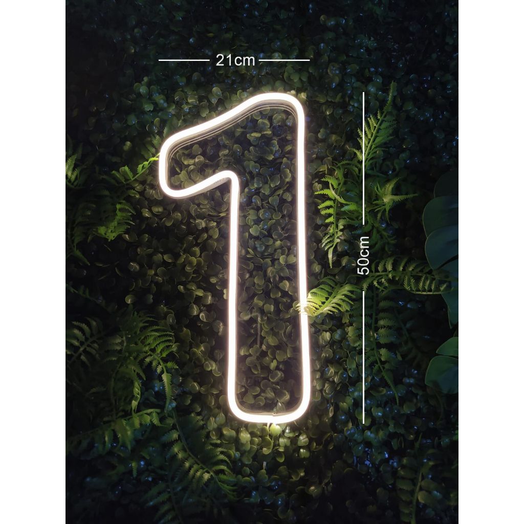 Números Neon Led em Acrílico 3mm 30, 40 ou 50cm | Shopee Brasil