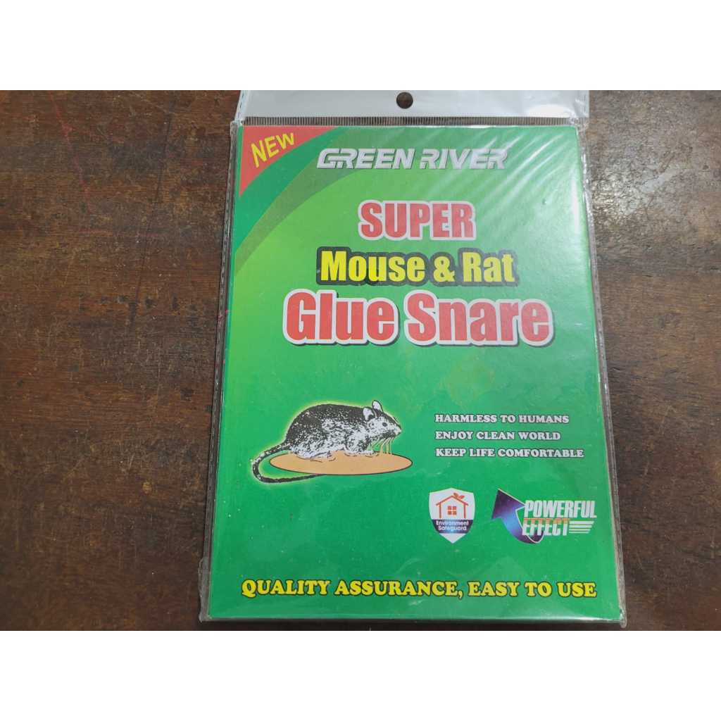 Cola Pega Tudo de Rato Com 5 Unidades | Shopee Brasil