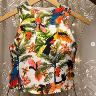 Cropped Forrado de Poliamida Estilo Nadador com Estampa Inspiração Farm