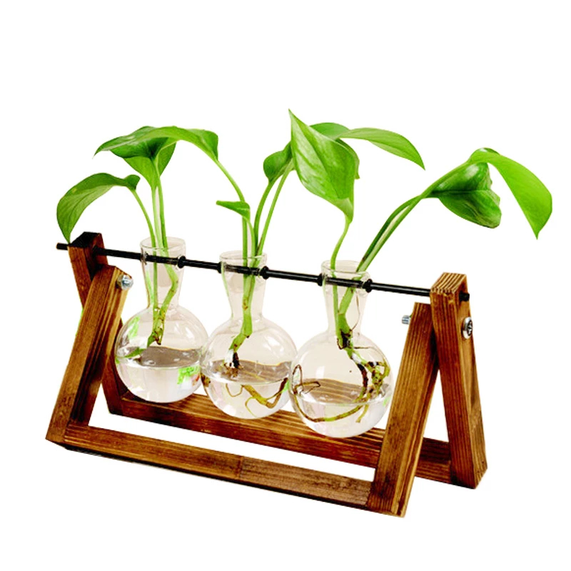 Vaso De Vidro Bulbo Plantador Com Suporte De Madeira