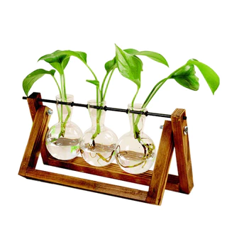 Vaso De Vidro Bulbo Plantador Com Suporte De Madeira