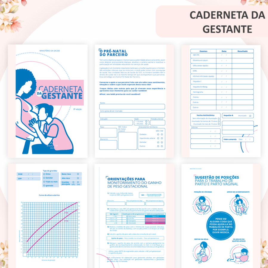 CADERNETA GESTANTE ATUALIZADA - PADRAO SUS | Shopee Brasil