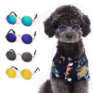 Óculos Pet Cachorro Gato Diversas Cores Óculos Para Animais De Estimação
