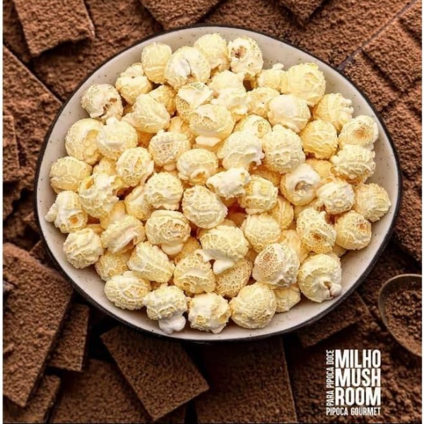 Milho Para Pipoca Mushroom Super Grão Gourmet 500g MILHO A VÁCUO ...