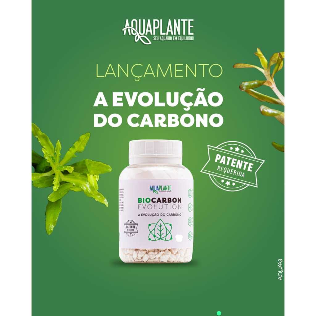 Aquaplante Biocarbon Evolution 160ml