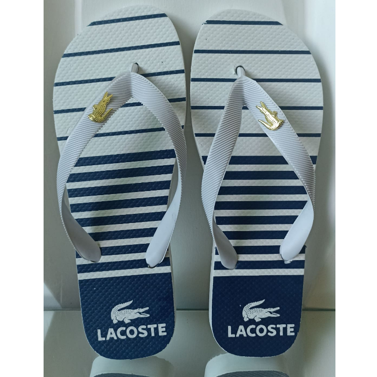 Chinelo Masculino lançamento Promoção antiderrapante
