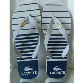 Chinelo Masculino lançamento Promoção antiderrapante