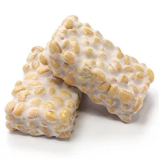 Rhizopus Oligosporus - Fermento para produção de Tempê - Tempeh