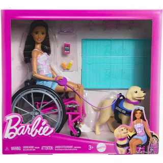 Boneca Barbie Fashion Cadeira De Rodas E Cão - Mattel Hjy85