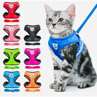 Coleira Para Gatos Confortável Peitoral Com Guia Reflexiva P M G
