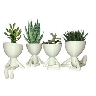 Robert Plant Bob Kit 4 Mini Vasinhos 6 cm Suculentas Cactos Decoração