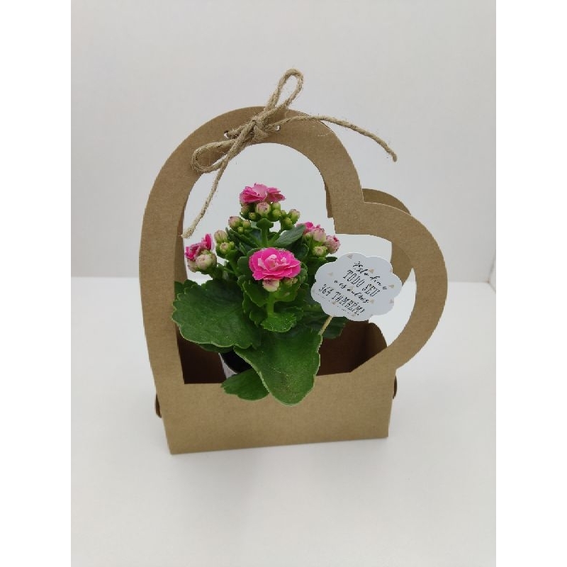 Caixinha Kraft lembrancinhas dia das mães, casamento, flores, suculentas , com 25 unidades+ sisal em Oferta na Shopee