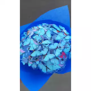 Buque Stitch