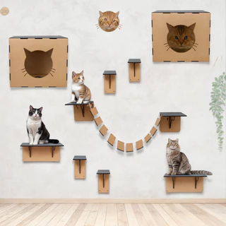 Melhores Playground Gatos kit brinquedo pet prateleiras nicho arranhador escada circuito com carpete
