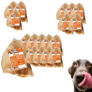 Petisco cachorro Orelha Bovina para Caes mordedor natural desidratado adestrador pet diversos kits