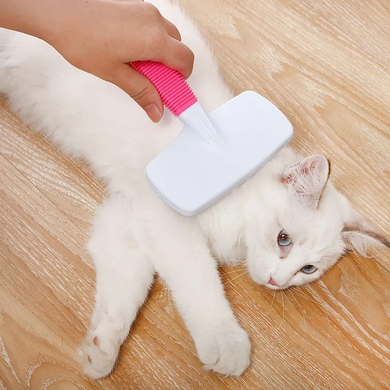 Kit Escova pet cães e gato mais pente de plástico pet