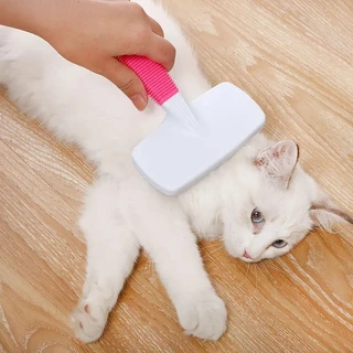 Kit Escova pet cães e gato mais pente de plástico pet
