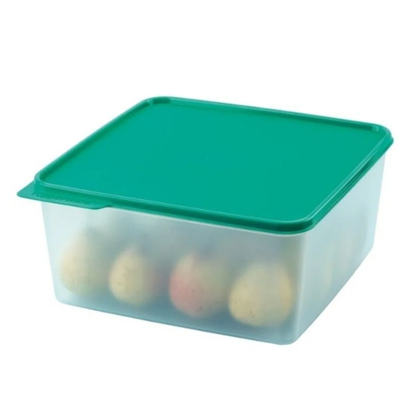 Basic line 5l tupperware cores variadas | Shopee Brasil