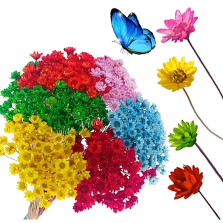 Sempre Viva Colorida Buquê 6 Cores Mix 300 Florzinhas