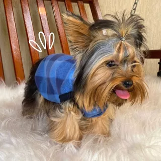Capa de Soft com Fechamento de Velcro Cores Roupa Cachorro Inverno Pet