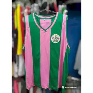 Camisa Da Mangueira 100% Algodão Bordada P Ao Xg Plus Size