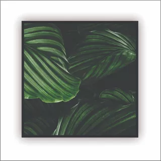 Quadro Decorativo Folhas Verdes Naturais Macro com Moldura