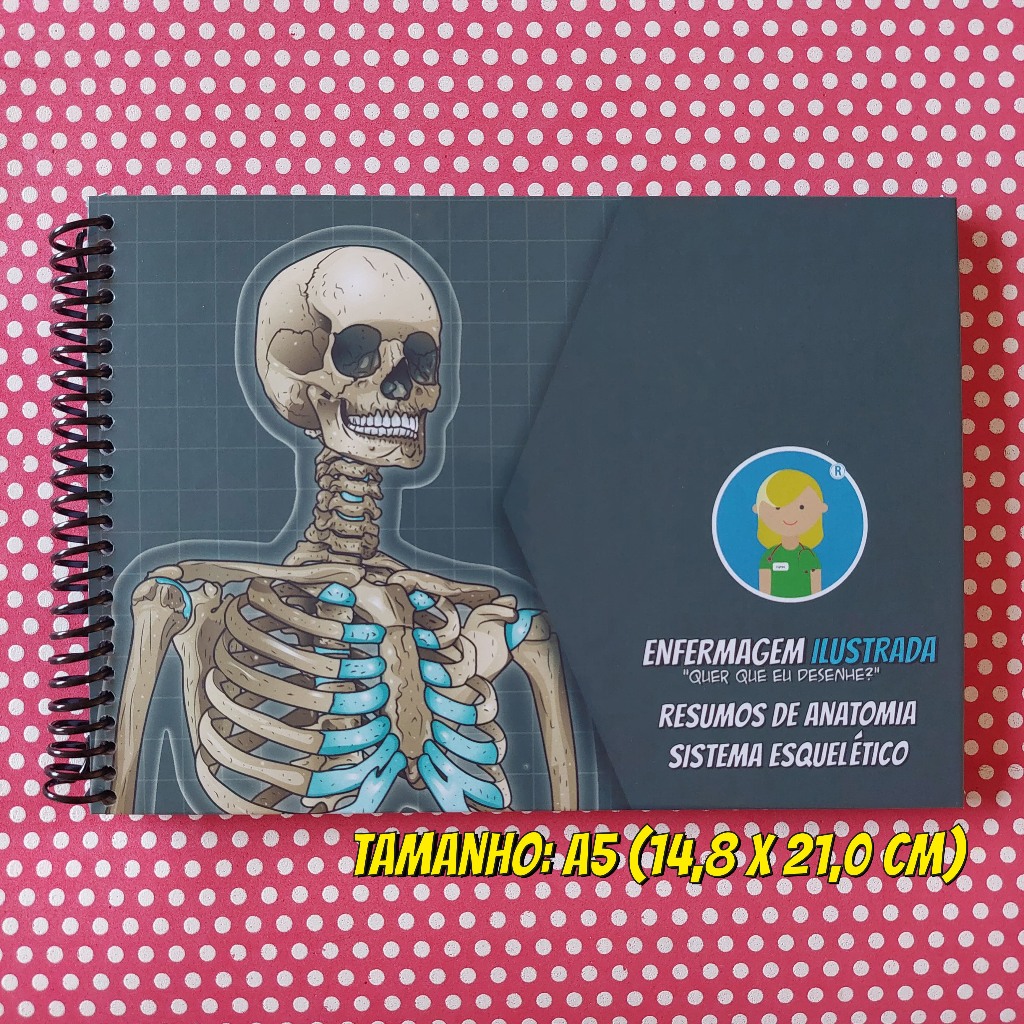 Resumos de Anatomia - Sistema Esquelético