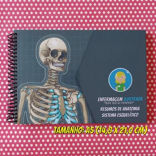 Resumos de Anatomia - Sistema Esquelético