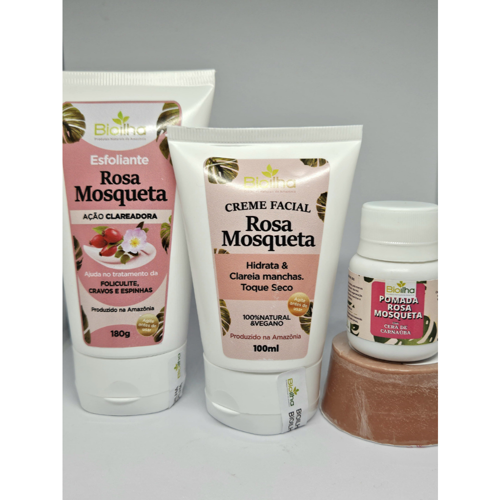 Kit Rosa Mosqueta - Clareia, Hidrata e Nutri a Pele | Skincare Vegano ...