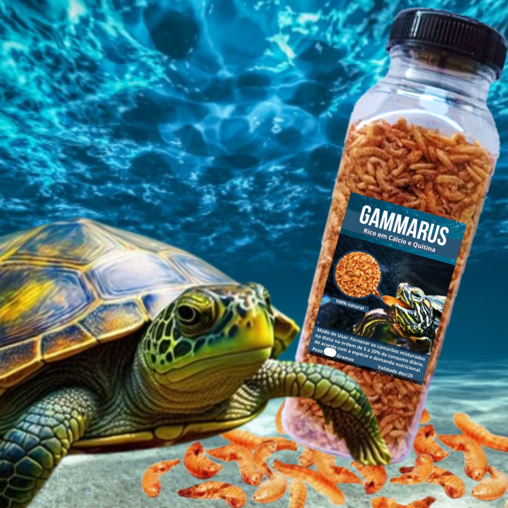 Camarão Gammarus Pote 250ml/30g, 500ml/60g - Jabuti Rico em Cálcio ...