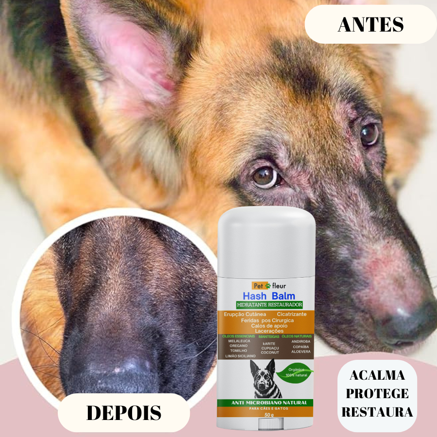 Balm Pet na Black Friday 2025 | BuscaProdutos