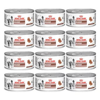 Ração Úmida Royal Canin Veterinary Recovery Wet Lata 195G - 12 unidades